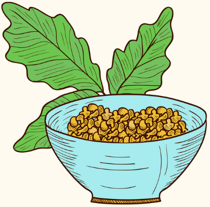 Boswellia Serrata